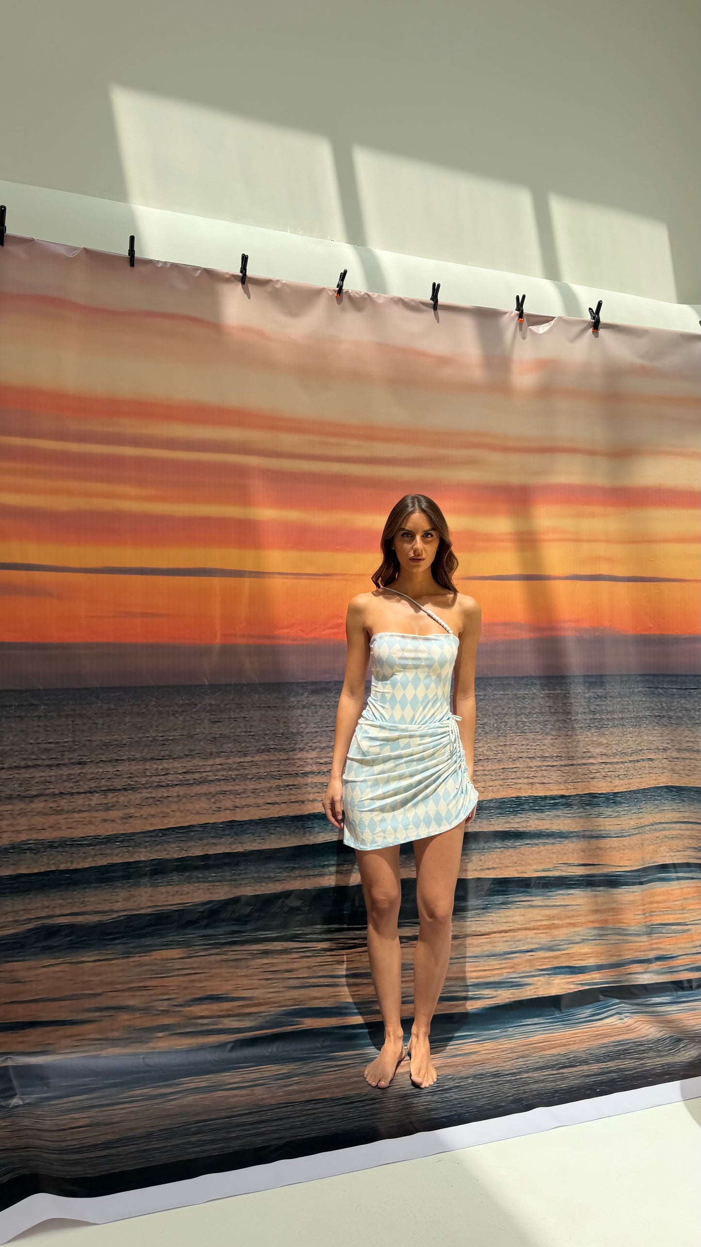 Blue checkered one line swimsuit(only swimsuit)