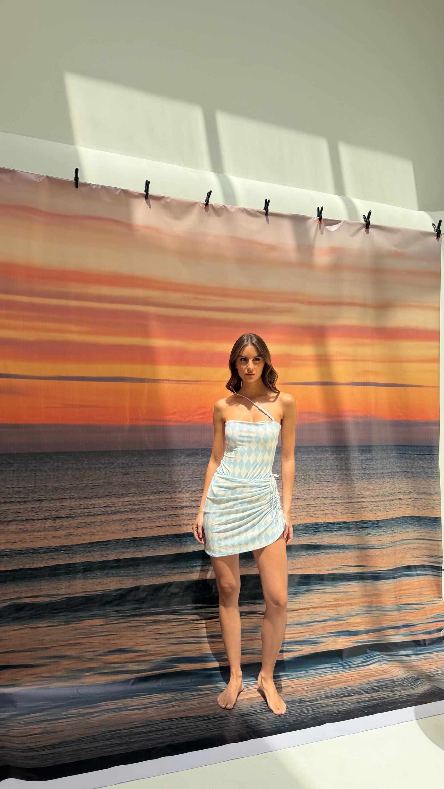Blue checkered one line swimsuit(only swimsuit)