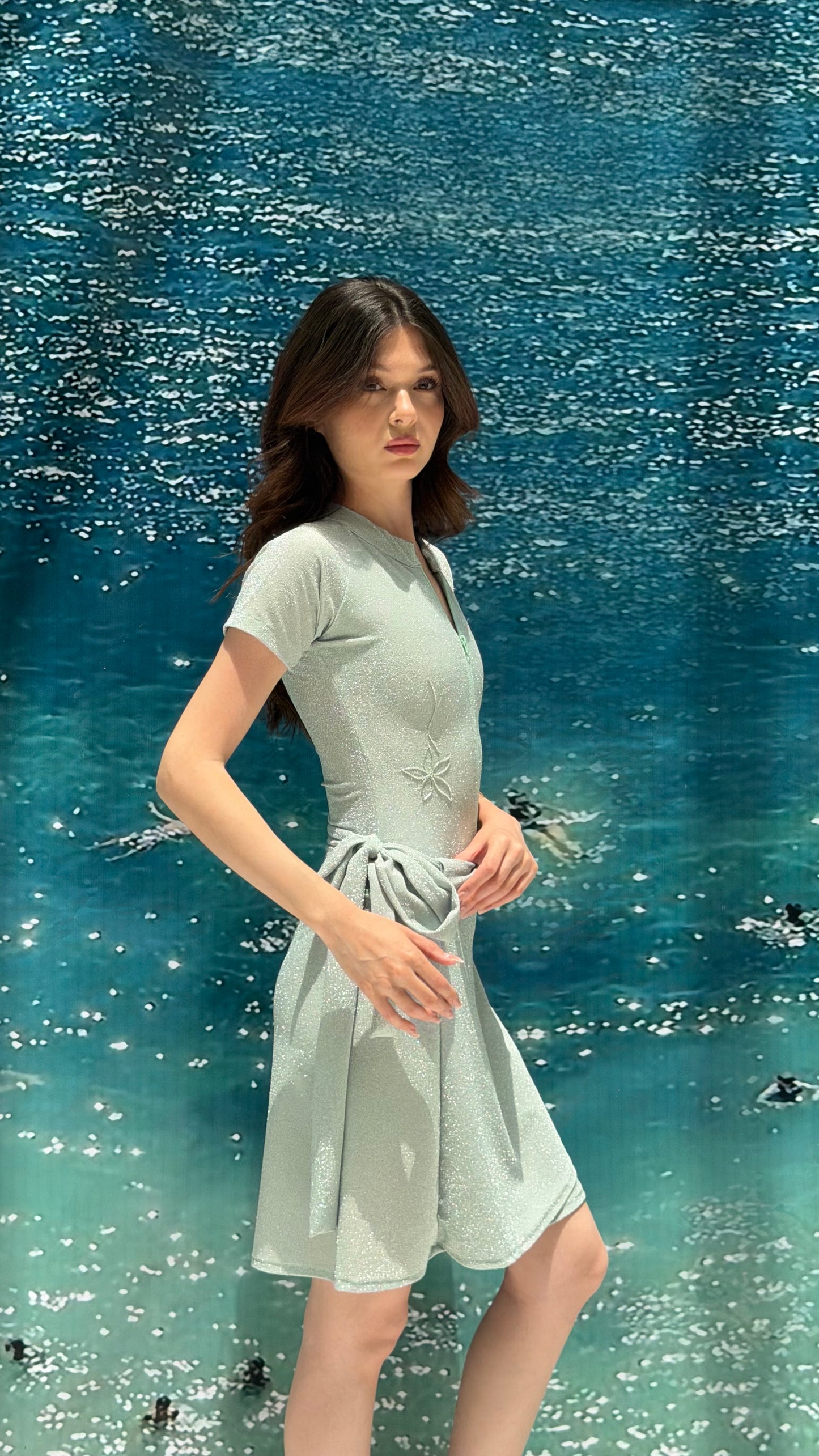 Mermaid green short sleeves ( only swimsuit)